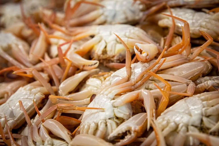 Marechiaro-pesce-adriatico2