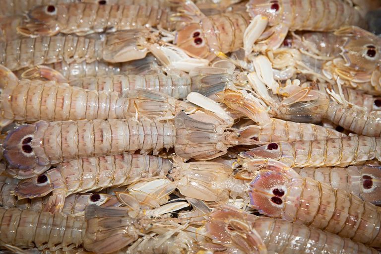 Marechiaro-pesce-adriatico4