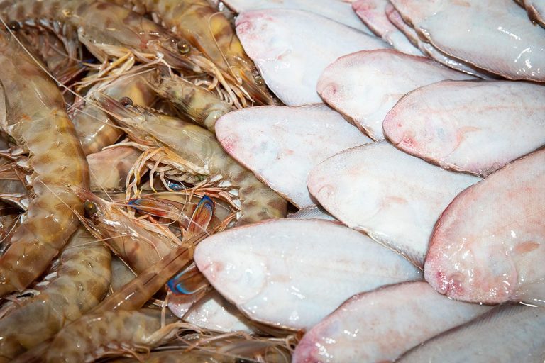 Marechiaro-pesce-adriatico9